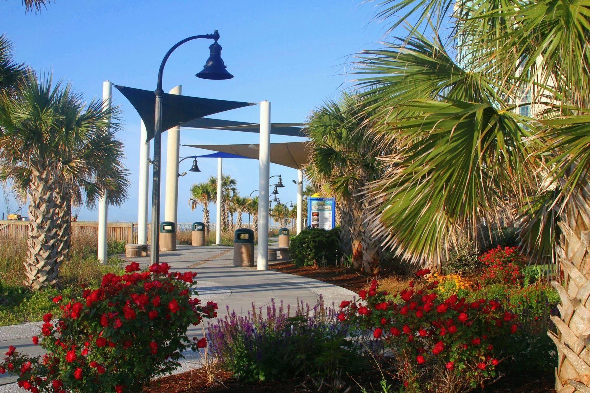 فندق Bar Harbor On The Oceanfront شاطئ ميرتل المظهر الخارجي الصورة
